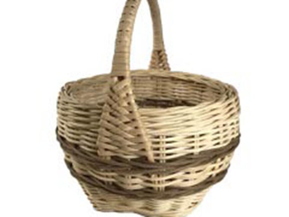 Class 1 Caspian CLASS FULL Stowe Basketry Festival